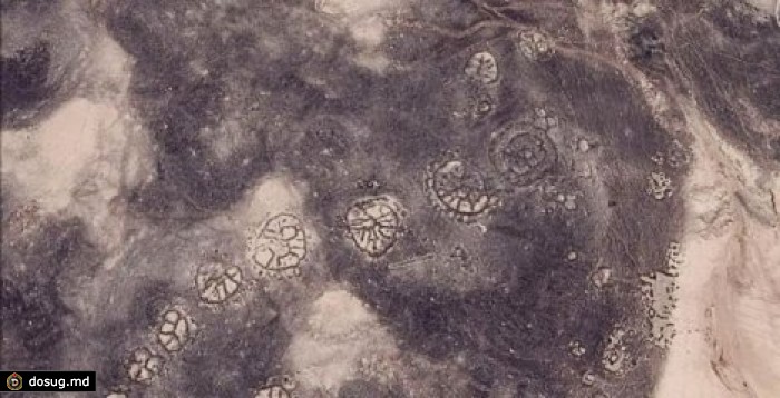 Гигантские древние узоры на Ближнем Востоке отнесли к доисторической эпохе