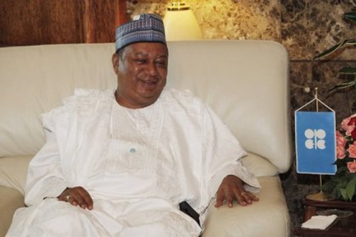 Глава ОПЕК заявил о заслуженном Россией автоматическом принятии в картель