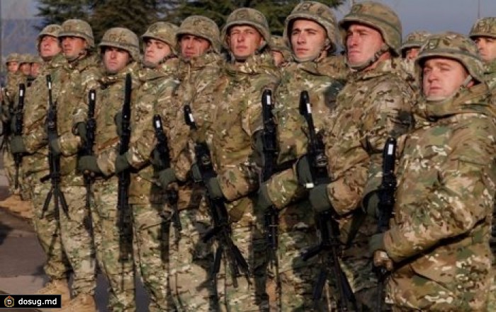 Грузинский легион вошел в состав вооружённых сил Украины