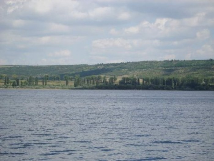 Холерный вибрион обнаружили в Днестре и Гидигичском водохранилище
