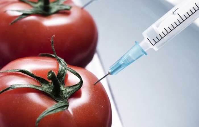 Информацию о ГМО обяжут указывать на молдавских продуктах питания
