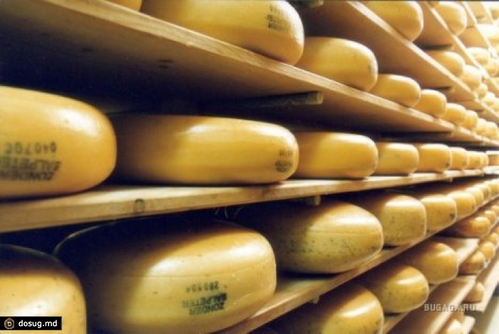 Как впервые уничтожали санкционные продукты в России