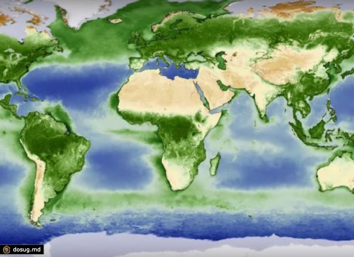 Как зеленеет Земля: инфографика NASA