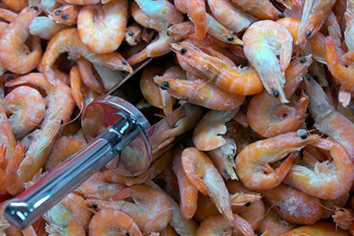 Лукашенко напомнили о поставках креветок в Россию