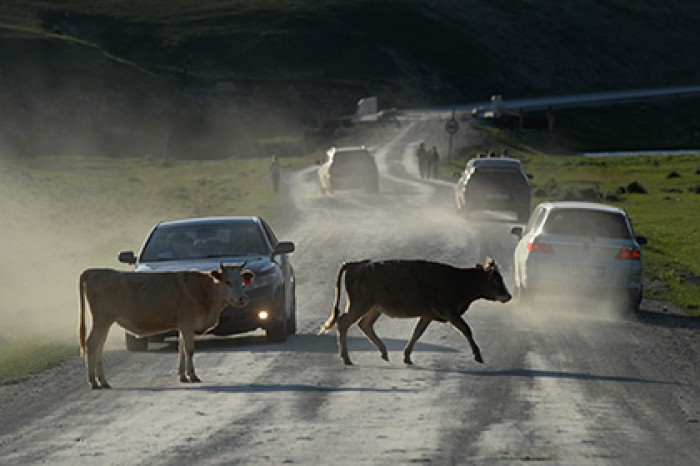 Медведев согласился потратить восемь миллиардов рублей на сельские дороги