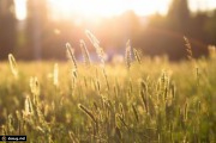 Метеорологи прогнозируют потепление до +18 °C