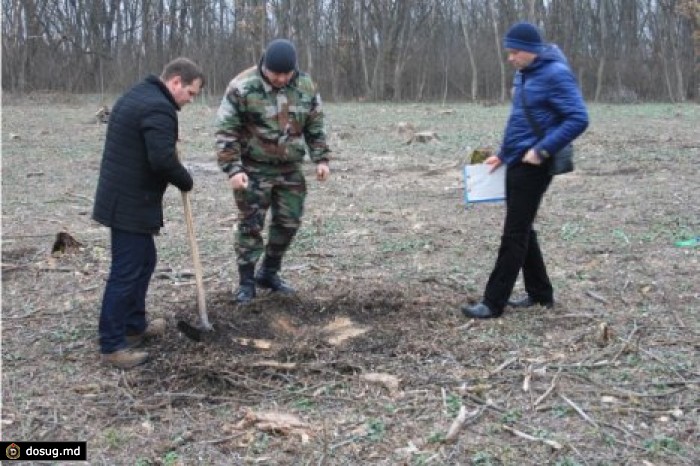 Министр не зря наведался с внезапной проверкой в лесное хозяйство "Мерешень"