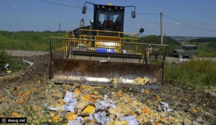 Министр сельского хозяйства ФРГ критикует уничтожение продуктов питания в РФ