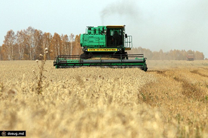 Минсельхоз вернет крестьянам выкупленное в 2014 году зерно