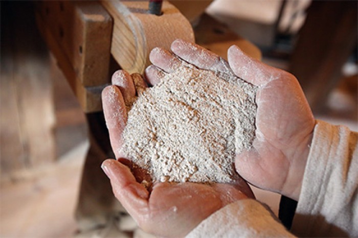 Минсельхоз России обвинил Турцию в нарушении правил ВТО