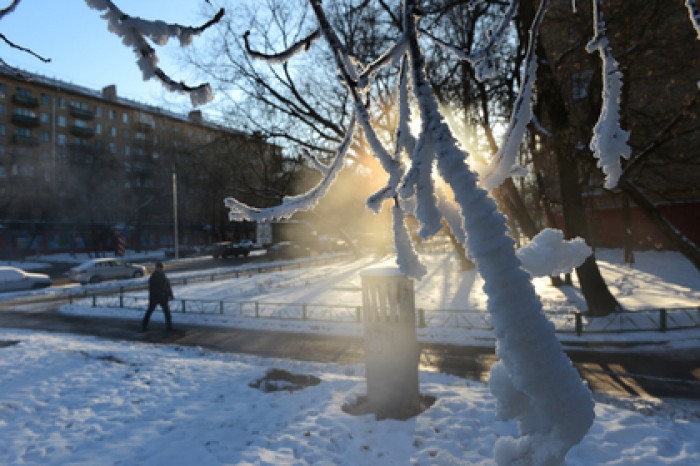 Москвичам пообещали аномальные морозы до минус 35 градусов