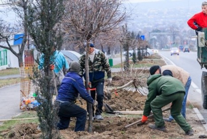 Началась генеральная уборка в Кишиневе