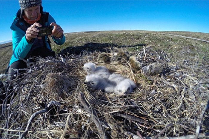 На крайнем севере откроют круглогодичную станцию наблюдения за животными