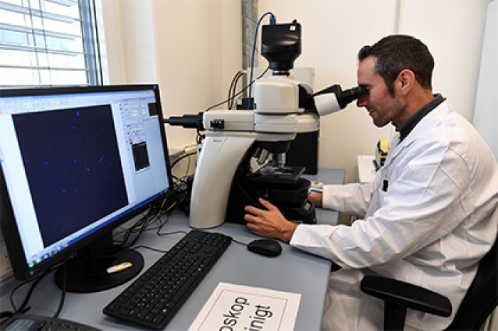 Найдена ДНК доисторического вируса рака крови