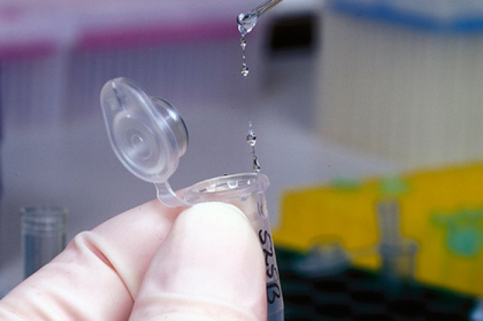 Найден эффективный способ редактирования ДНК