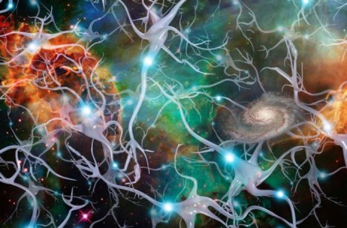 Найден источник сознания в мозге человека