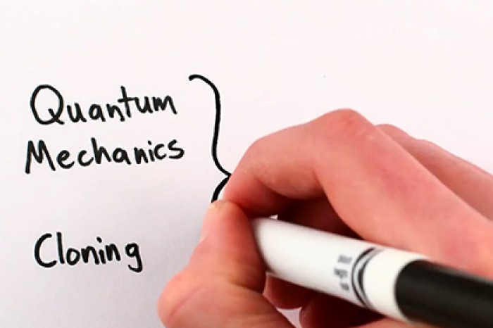 Невозможность точного клонирования объяснили на видео