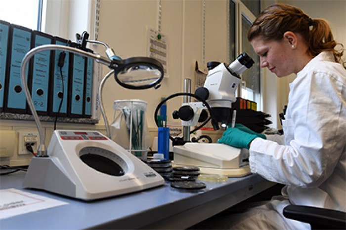 Обнаружено скрытое распространение неуязвимых бактерий