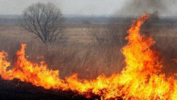 Объявлен желтый код пожароопасности