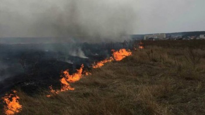 Около 130 гектаров сухостоя сгорели за последние сутки в Молдове