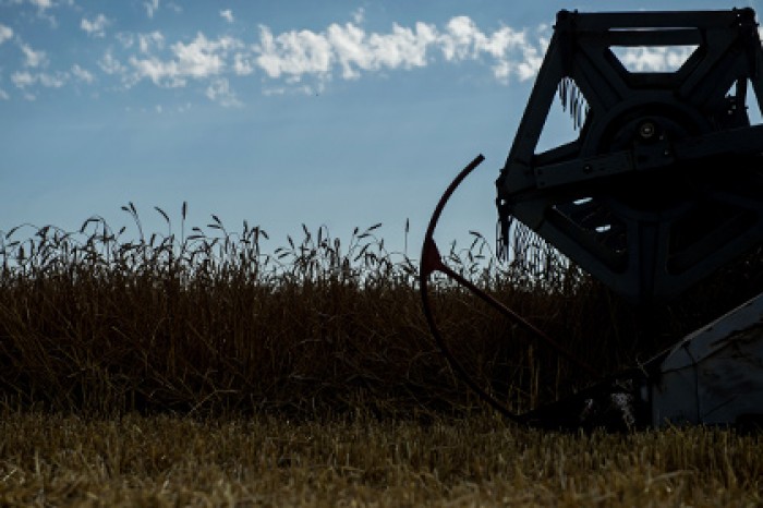 Определен наносимый природе буханкой хлеба ущерб
