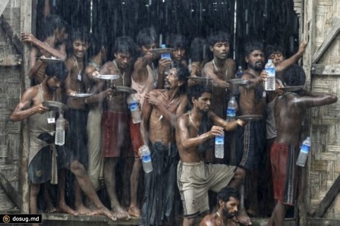 Опубликованы лучшие фотографии Reuters 2015 года