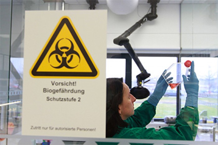 Опухоль мозга вылечат с помощью вируса бешенства