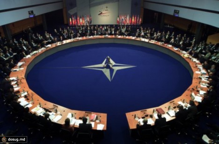 Парламентская ассамблея НАТО выразила солидарность с Украиной