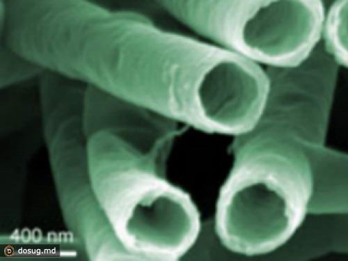 Японские ученые создали наноловушки для вирусов гепатита B