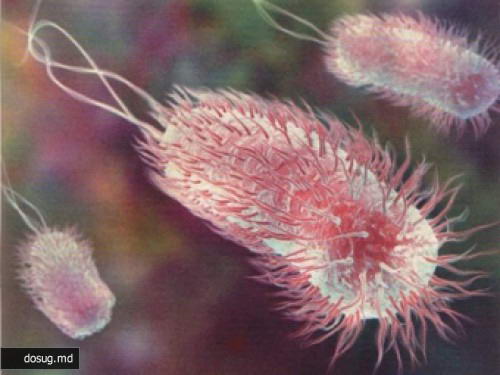 Испанцы предложили лечить рак "гибридами" нанороботов и бактерий