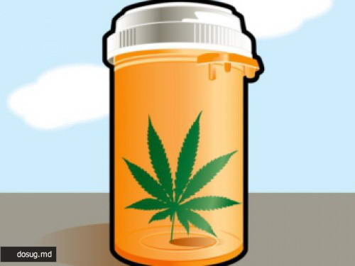 Израильский раввин одобрил медицинскую марихуану