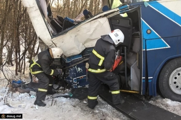 По факту ДТП с автобусом в Ленинградской области возбуждено дело