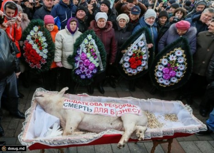 Под украинскую Верховную Раду принесли свинью в гробу