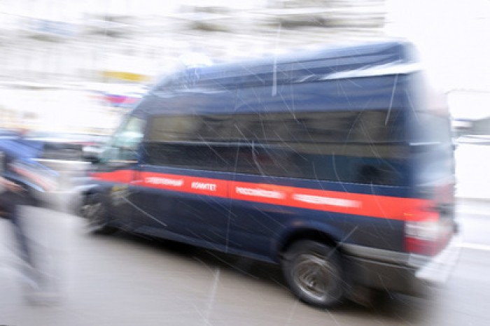 По делу о гибели девочки от укусов собак задержали хозяев животных