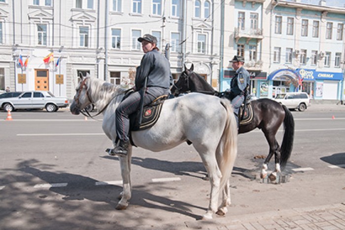Лошадка москва. Лошадь в центре Москвы. Конная полиция в Москве. Конная полиция Нижний Новгород. Лошади в центре города.