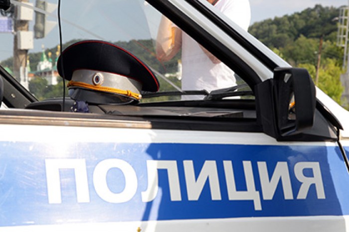 После оскорбления полицейского у аэропорта Внуково возбудили дело