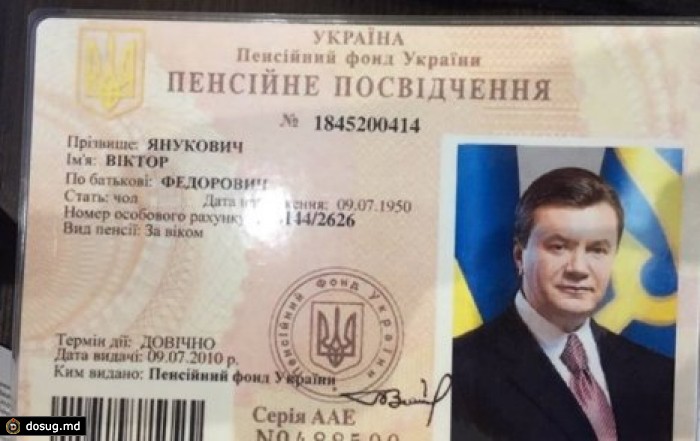 Появилось видео, как нашли архив Януковича
