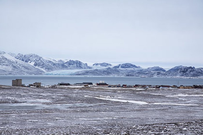 Президент UArctic заявил об улучшении русскими экологической ситуации в Арктике