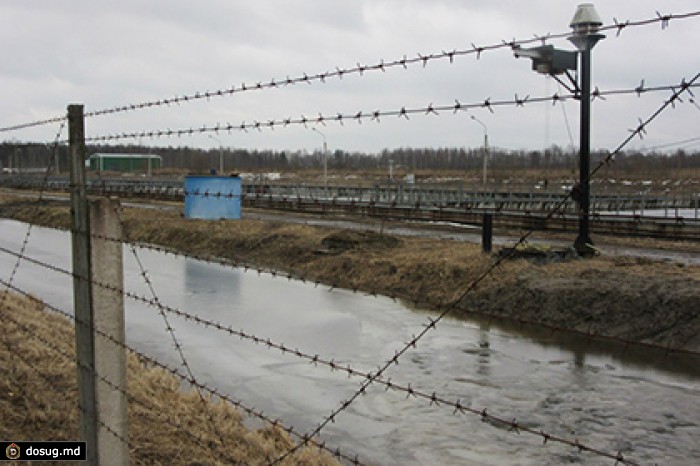 Прокуратура выявила хищения в ходе проверки полигона «Красный Бор» в Петербурге