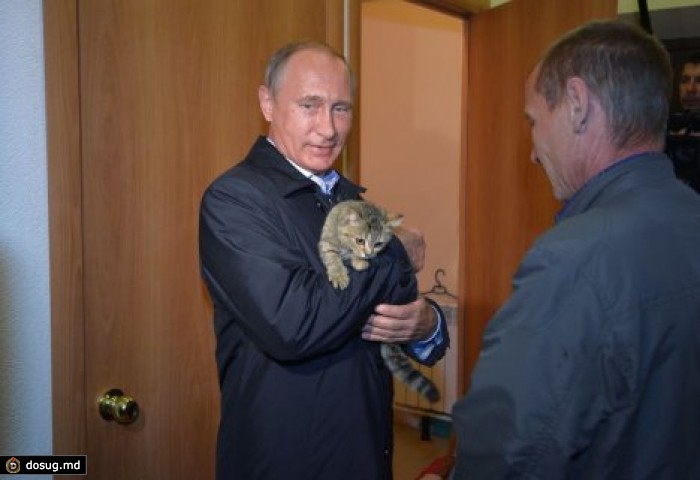 Путина сфотографировали с кошкой Муркой в Хакасии