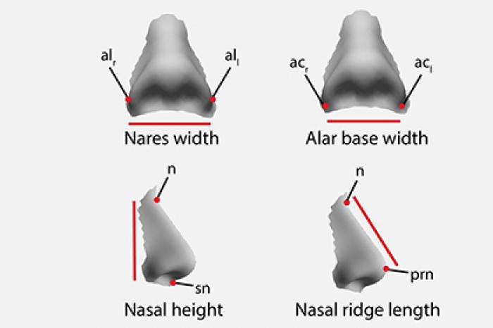 Раскрыто неожиданное влияние климата на тело человека