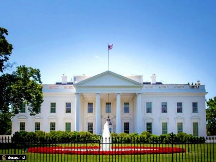 Разведка США: если "Исламское государство" не победить в Сирии, оно распространится по всему миру