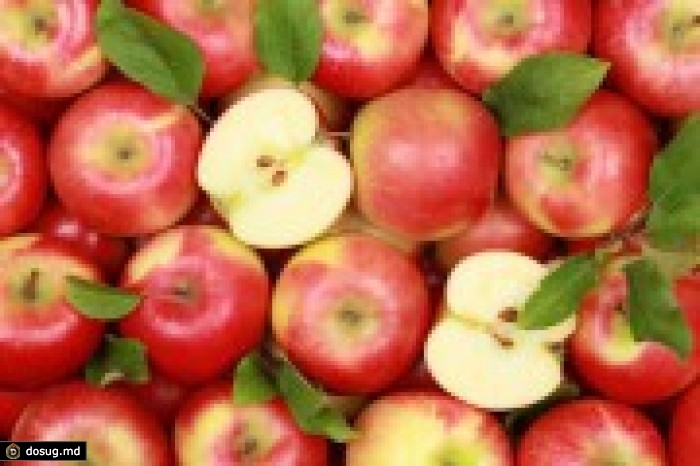 Роспотребнадзор не пустил в страну более 19 тонн молдавских яблок