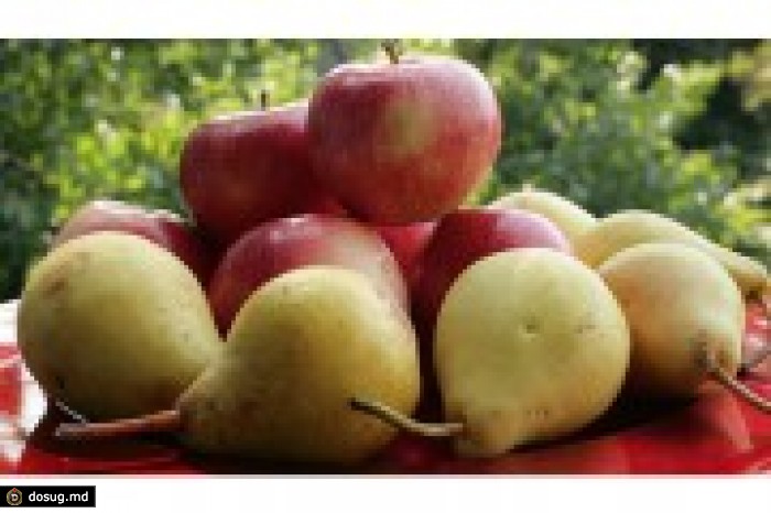 Россия ужесточает правила импорта яблок и груш с сертификатами происхождения из Республики Молдова