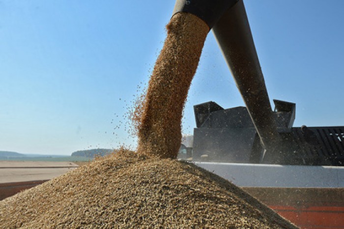 Россия получит статус нетто-экспортера продовольствия в 2017 году