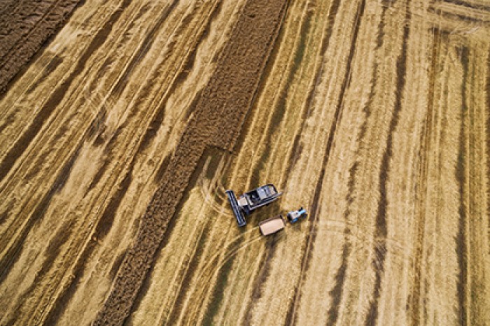 Россия стала мировым лидером по экспорту пшеницы