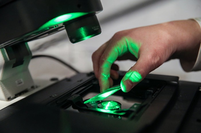 Российские ученые нашли замену каннабису для эпилептиков