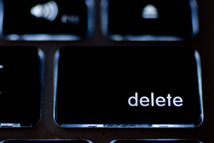 Шведы нашли способ удалиться из интернета