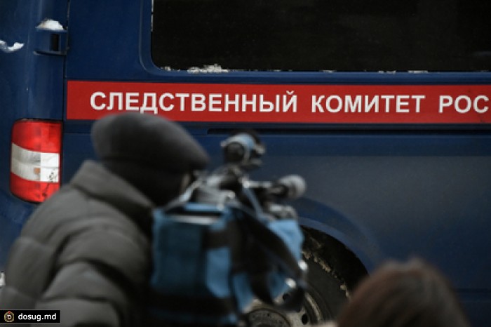 СК возбудил новое дело против завалившего девочку снегом экскаваторщика