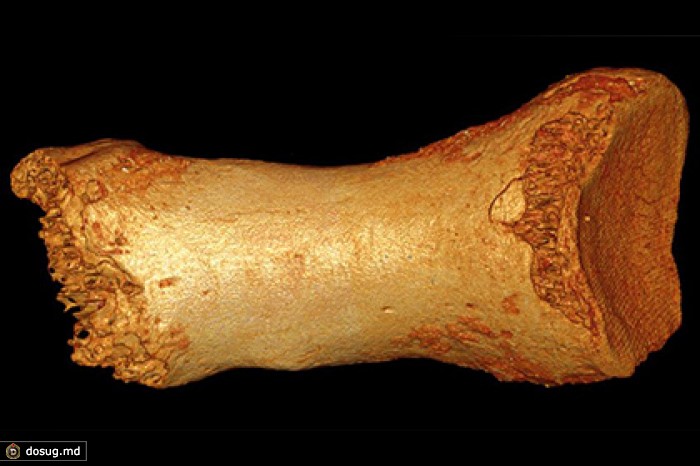 Скрещивание Homo sapiens и неандертальцев сдвинули на десятки тысяч лет назад